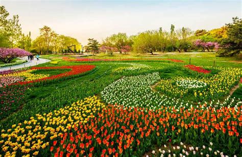 Chinese city known as the City of Flowers .